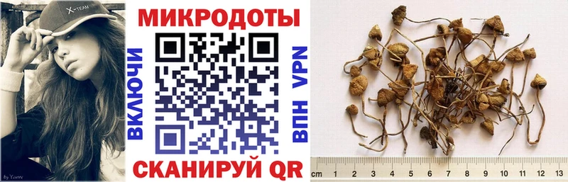 Галлюциногенные грибы прущие грибы  Лысьва 