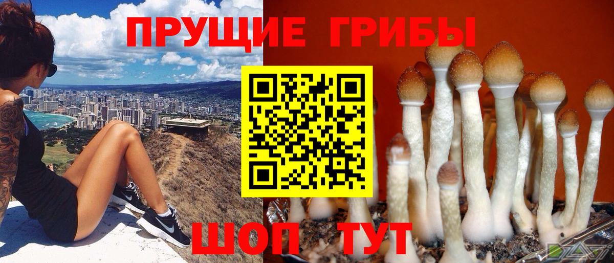 Галлюциногенные грибы GOLDEN TEACHER  Вход с VPN  Лысьва 