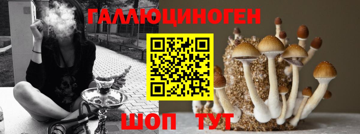 Псилоцибиновые грибы GOLDEN TEACHER Лысьва